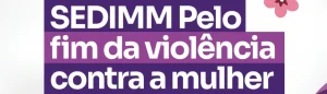 Subsecretaria Especial dos Direitos das Mulheres e Minorias
