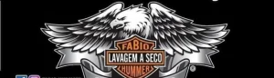 Lavagem a Seco