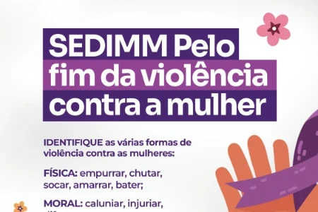 Subsecretaria Especial dos Direitos das Mulheres e Minorias