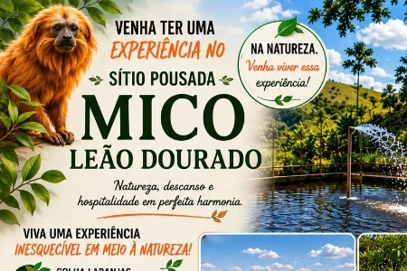 Sítio Pousada Mico Leão Dourado