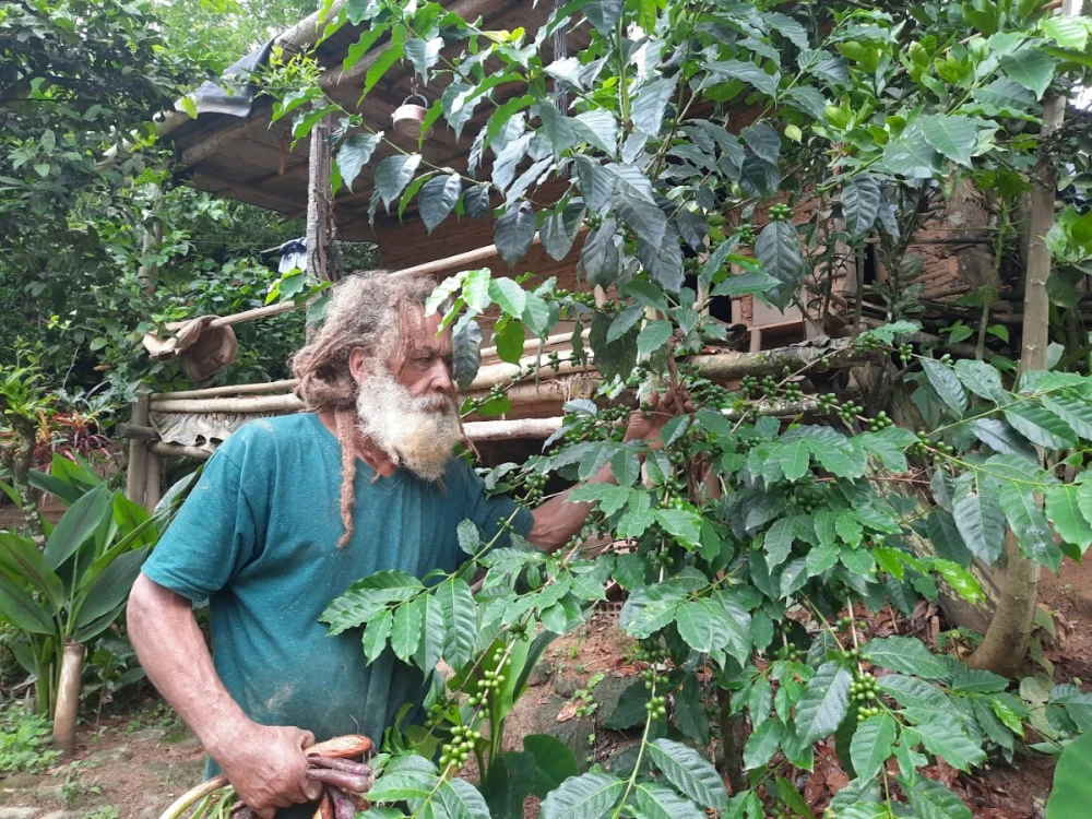 Capitão do Mato Orgânicos
