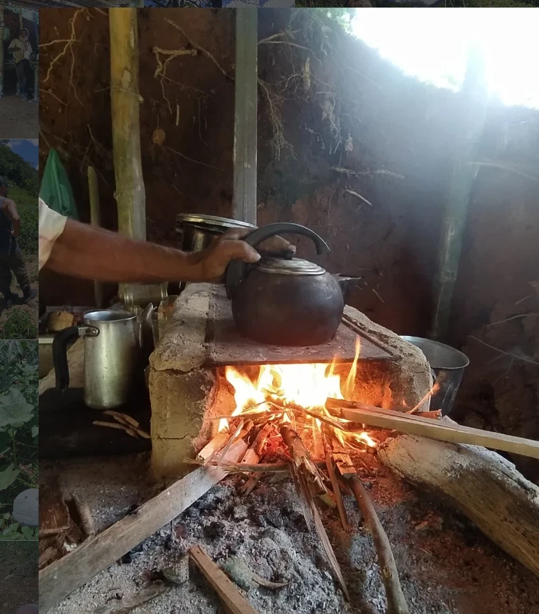 Capitão do Mato Orgânicos