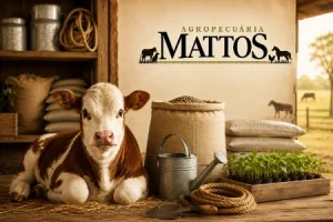 Agropecuária Mattos